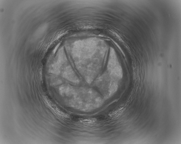 X0000053050447200508081133