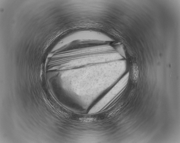 X0000053050448200508081133