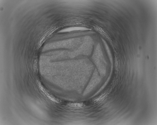 X0000053050449200508081133