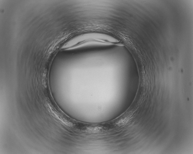 X0000053050450200508081133