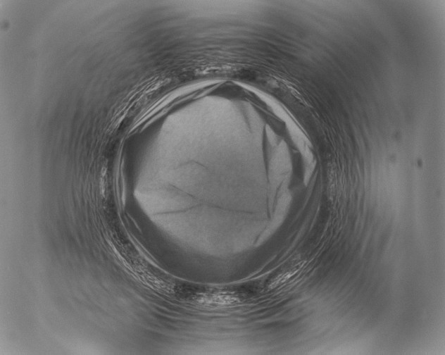 X0000053050451200508081133