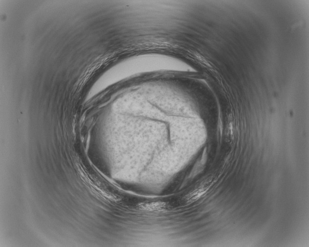 X0000053050452200508081133