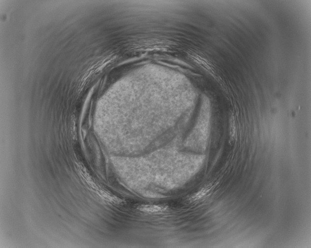 X0000053050453200508081133