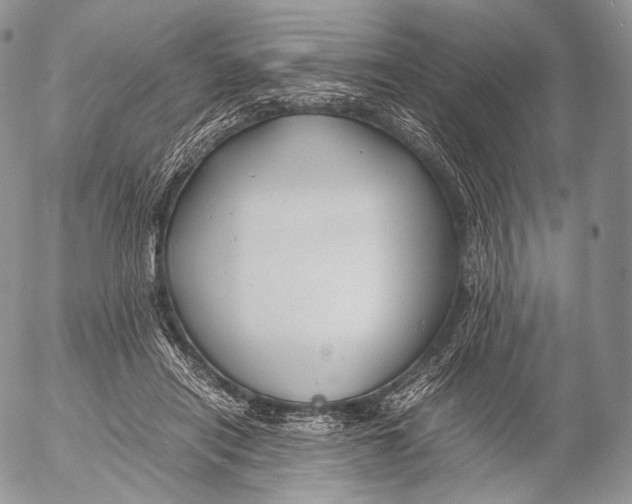 X0000053050454200508081133