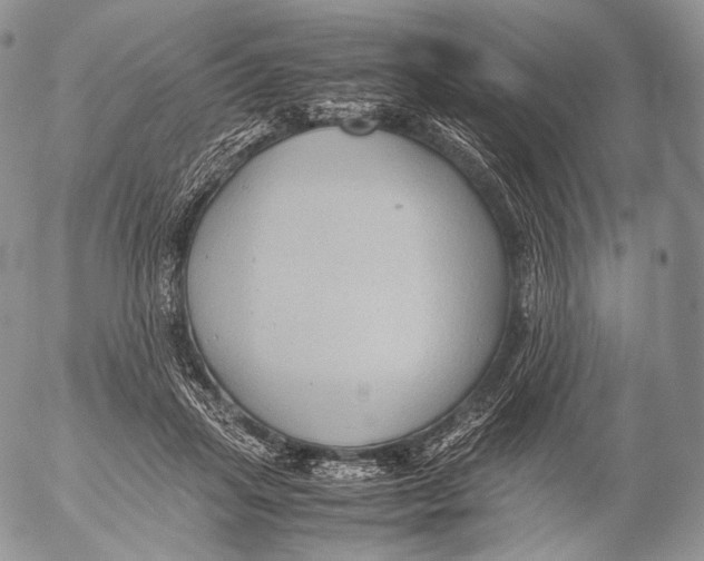 X0000053050455200508081133