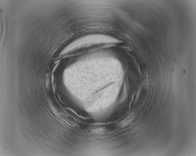 X0000053050456200508081133