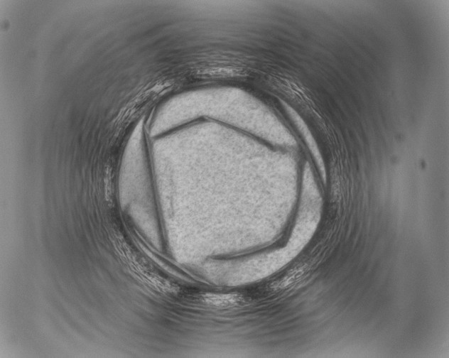 X0000053050457200508081133