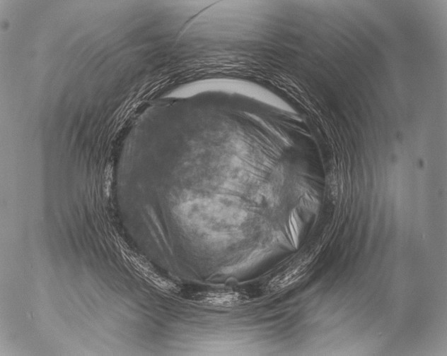 X0000053050458200508081133