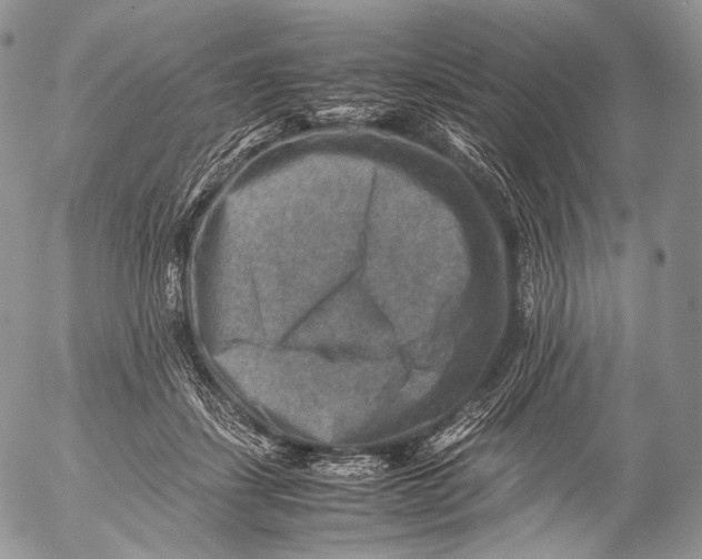 X0000053050459200508081133