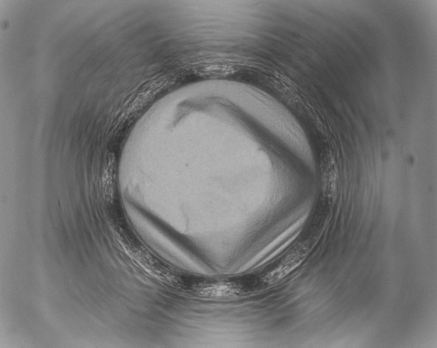 X0000053050460200508081133