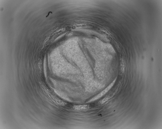 X0000053050461200508081133