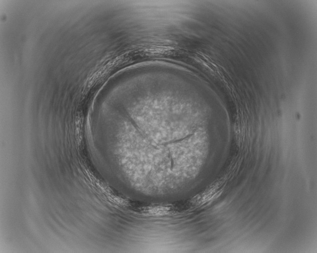 X0000053050462200508081133