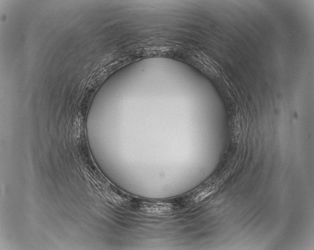 X0000053050463200508081133