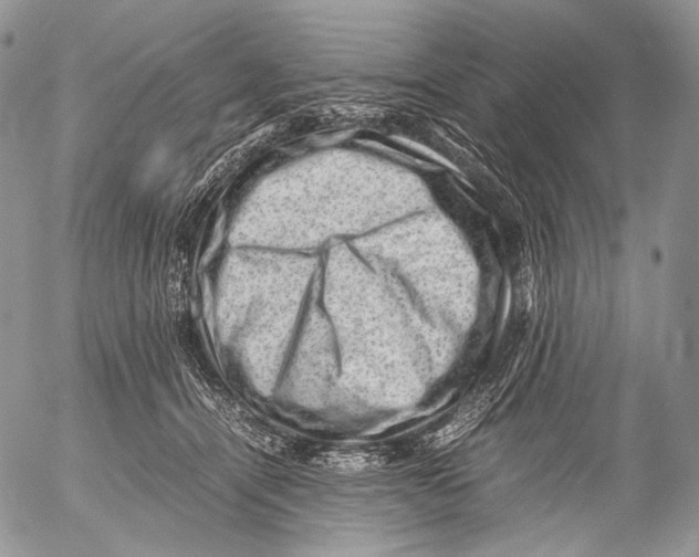 X0000053050464200508081133