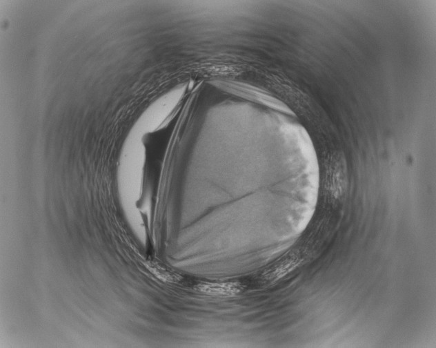 X0000053050465200508081133