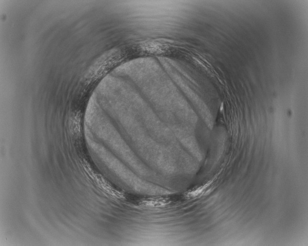 X0000053050466200508081133