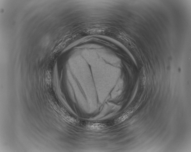 X0000053050467200508081133