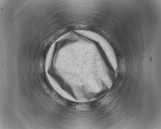 X0000053050468200508081133