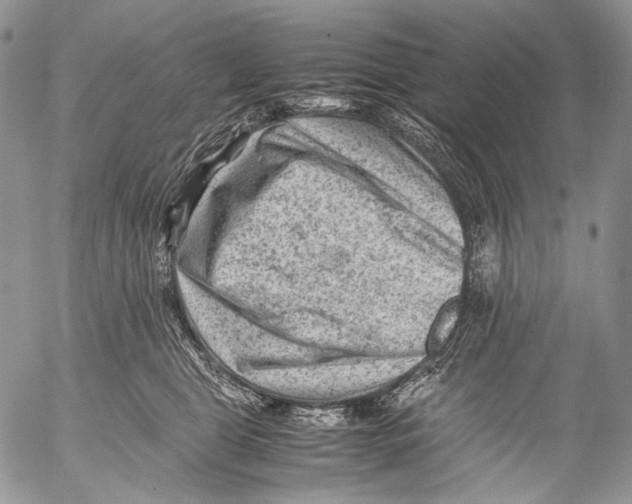 X0000053050469200508081133