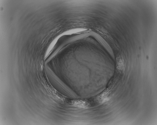 X0000053050471200508081133