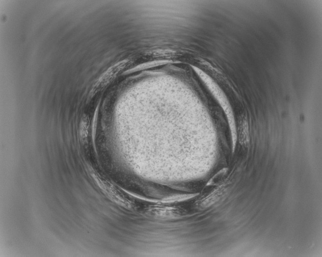 X0000053050472200508081133