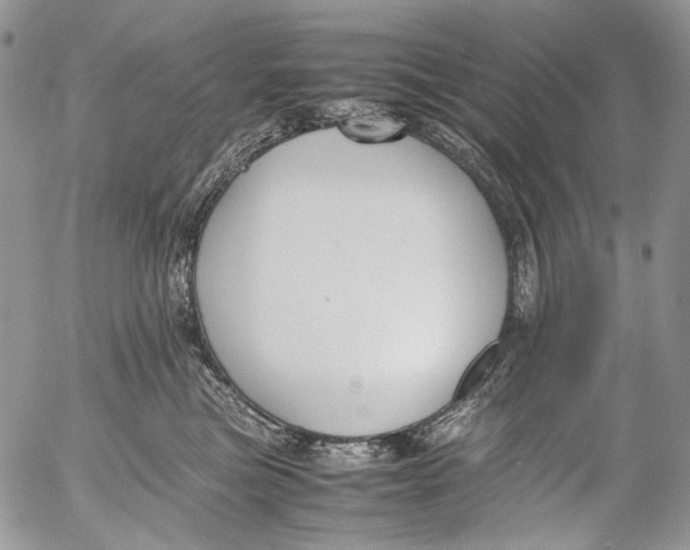 X0000053050473200508081133