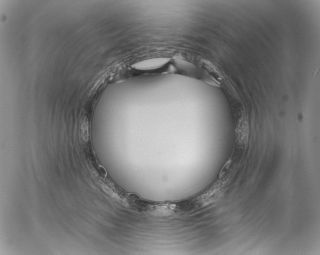 X0000053050474200508081133