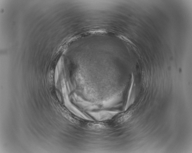 X0000053050475200508081133