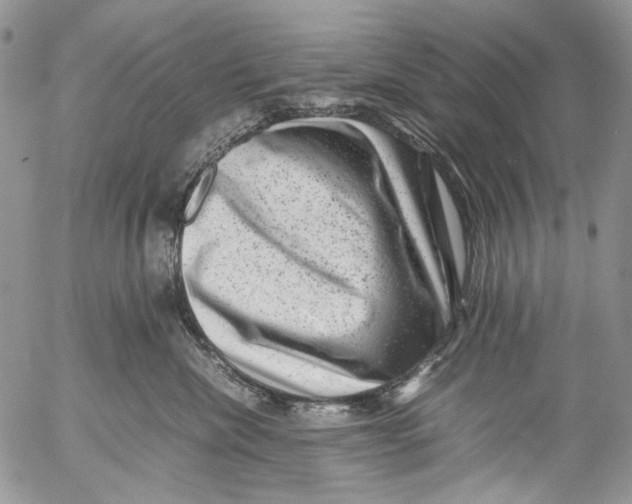 X0000053050476200508081133