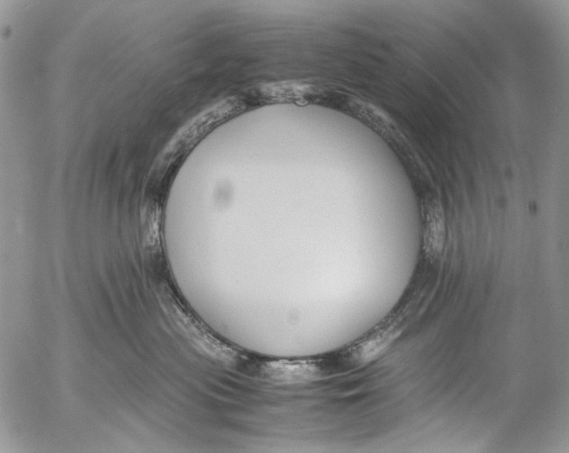 X0000053050477200508081133