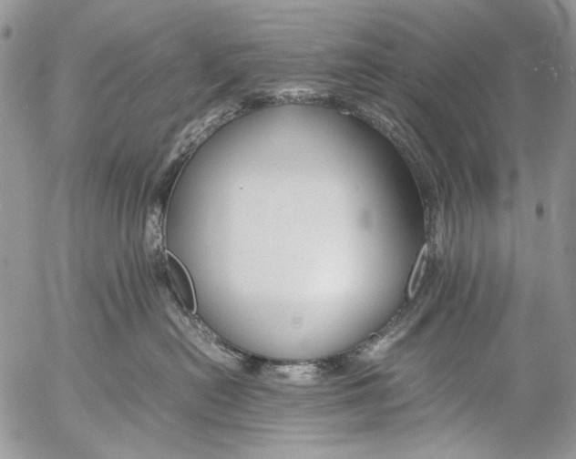 X0000053050478200508081133