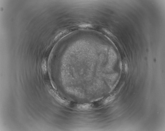 X0000053050479200508081133