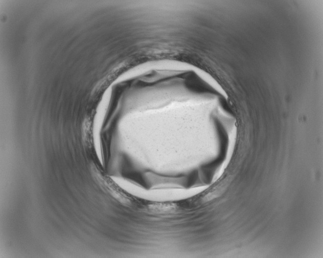 X0000053050480200508081133