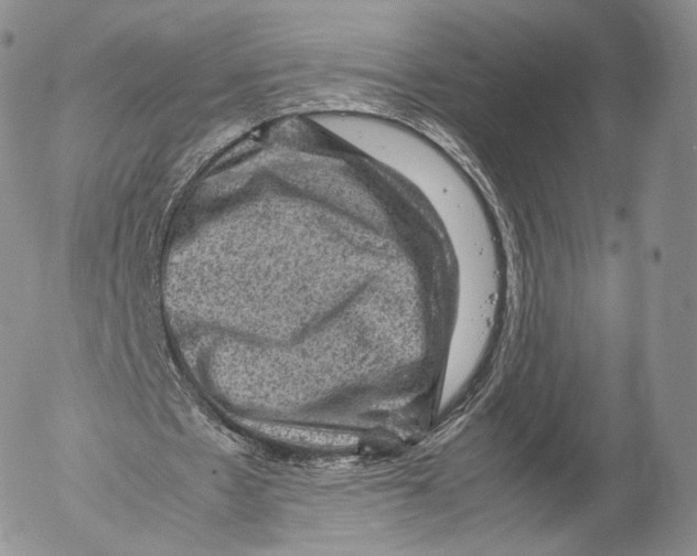 X0000053050481200508081132