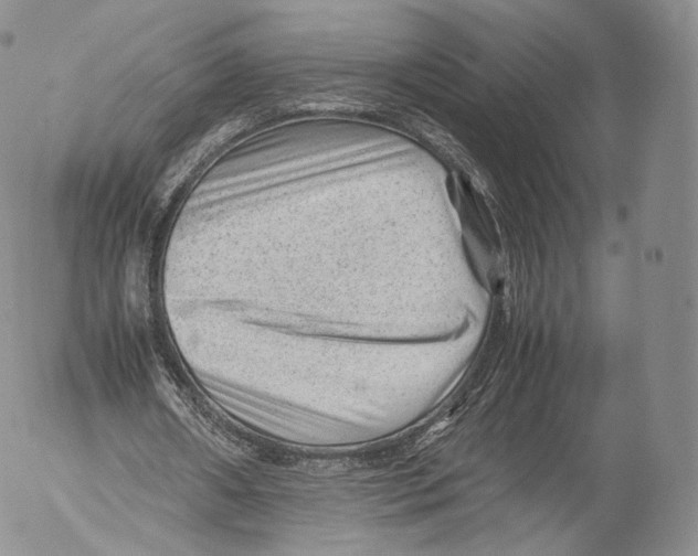 X0000053050482200508081132