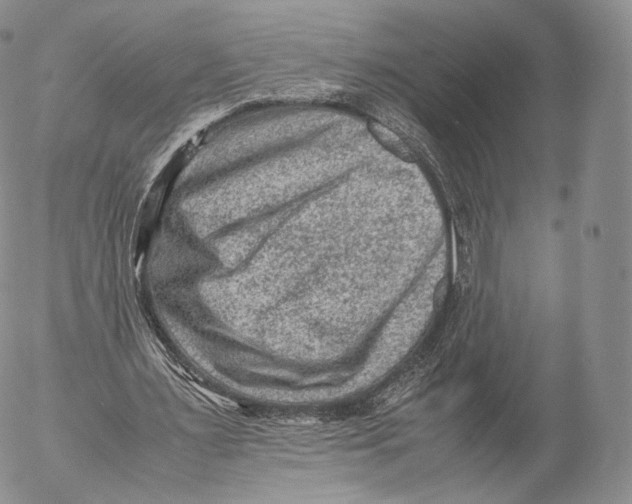 X0000053050483200508081132