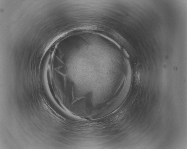 X0000053050484200508081132