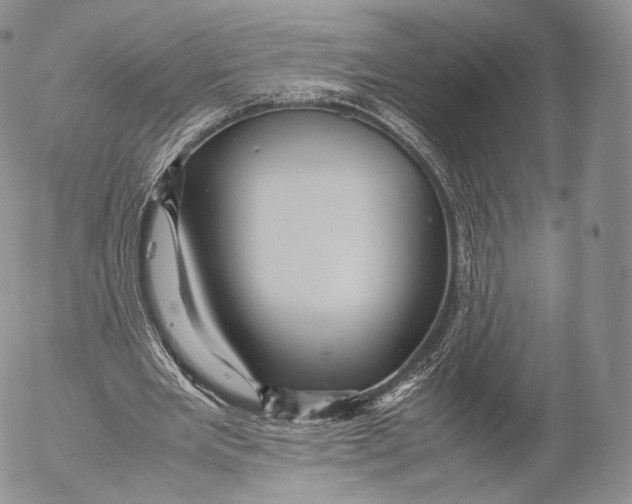 X0000053050485200508081132