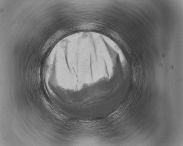 X0000053050486200508081132