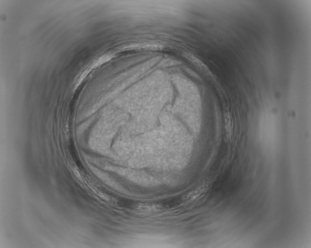 X0000053050487200508081132