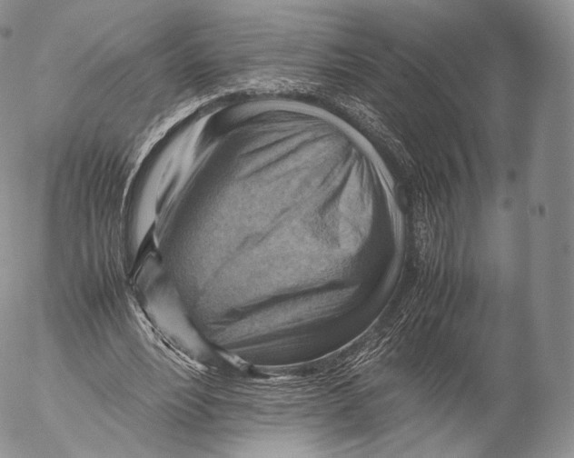 X0000053050488200508081132