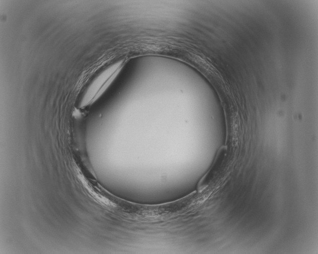 X0000053050489200508081132