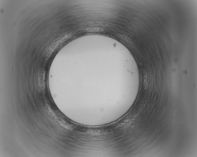 X0000053050490200508081132