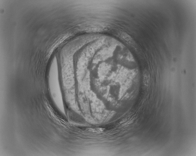 X0000053050491200508081132