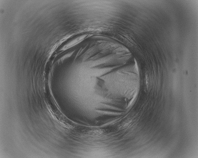 X0000053050492200508081132