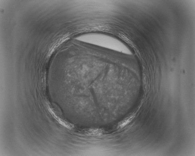 X0000053050493200508081132