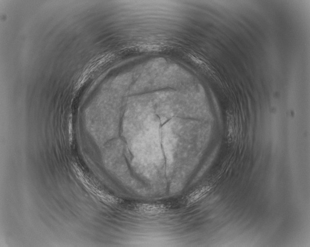 X0000053050494200508081132