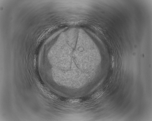 X0000053050495200508081132