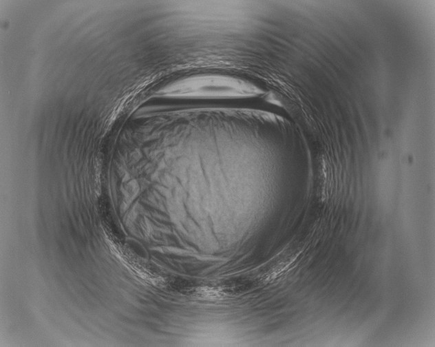 X0000053050496200508081132