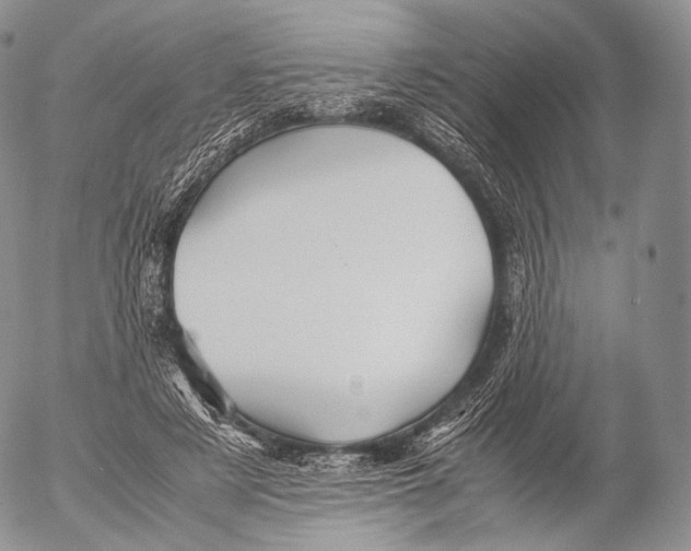 X0000053050497200508081132